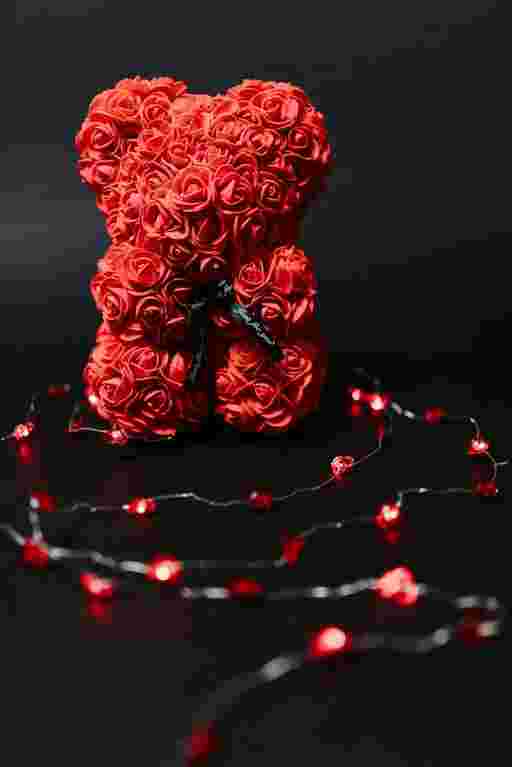 Aspiring Novelist's Odyssey to Multifaceted Writing Mastery KDPKIT